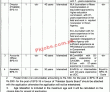 Psb Pk Jobs 2021 | Pakistan Sports Board Head Office
