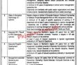 Psdf Jobs 2022 | Punjab Skill Development Fund Psdf Headquarters