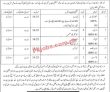 Pso Jobs 2022 | Public Sector Organization Head Office Announced