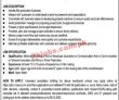 Ptv Jobs 2022 | Pakistan Television Corporation Limited Ptv Head