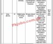 Pwd Jobs 2022 | Population Welfare Department Headquarters Announced Latest