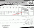 Pwd Jobs 2022 | Population Welfare Department Pwd Headquarters Announced