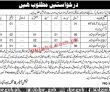 Pwd Jobs 2023 | Population Welfare Department Headquarters Announced Latest