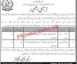 Pwd Jobs 2023 | Public Works Department Head Office Announced