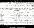 Pwd Population Welfare Department jobs 2023