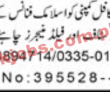 Pak Qatar Family & General Takaful Announced Management Pk Jobs