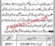 Pakistan Air Force Paf Head Office Announced Latest Jobs 2023