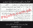 Pakistan Army Aviation Department Announced Clerical Pk Jobs 2021
