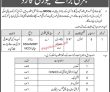 Pakistan Army Cadet College Announced Management & Security Pk Jobs