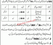 Pakistan Army Pk Jobs 2021 | Pakistan Army Mujahid Regiment