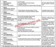 Pakistan Atomic Energy Commission Paec Jobs 2023