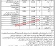Pakistan Bait Ul Maal Announced Social Work Management Pk Jobs