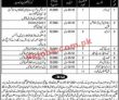 Pakistan Bait Ul Maal Ehsaas Program Announced Latest Pk Jobs
