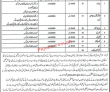 Pakistan Bait ul Maal (PBM) Management PK Jobs 2021
