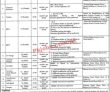 Pakistan Bait Ul Mal Head Office Announced Latest Jobs 2023