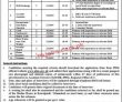 Pakistan Bait Ul Mal Head Office Announced Latest Recruitments Jobs