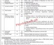 Pakistan Bait Ul Mal Latest jobs 2023