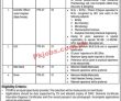 Pakistan Council Of Scientific And Industrial Research Pcsir jobs 2023