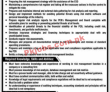 Pakistan Cricket Board (PCB) Management PK Jobs 2021