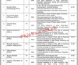 Pakistan Environmental Protection Agency (PEPA) PK Jobs 2021