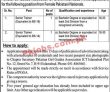 Pakistan Girls Guides Association PK Jobs 2021