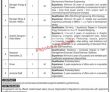 Pakistan Government Jobs Today Kpk Board Of Investment And Trade