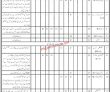 Pakistan Govt Jobs Today Planning & Development Department Balochistan Jobs