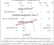 Pakistan Latest Jobs Directorate Of Public Libraries Punjab Jobs 2022