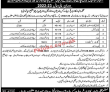 Pakistan Latest Jobs Today Punjab Irrigation Department Jobs 2022
