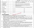 Pakistan Latest Jobs Today Quaid E Azam Medical College Bahawalpur