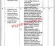 Pakistan Latest Jobs Today Rawalpindi Medical University Rmu Jobs 2022