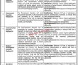 Pakistan Latest Jobs Transpeshawar Jobs 2022 Pk Jobs