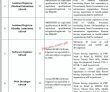 Pakistan Medical And Dental Council jobs 2023