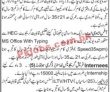 Pakistan Post Pk Jobs 2021 | Pakistan Post Foundation Head