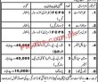 Pakistan Red Crescent Society (PRCS) Announced Latest PK Jobs 2021