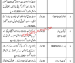 Pakistan Scouts Cadet College Faculty & Management PK JOBS 2021