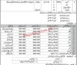 Pakistan Scouts Guards Announced Management & Security Pk Jobs 2021