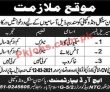 Pakistan Single Window Management PK Jobs 2021