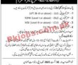 Pakistan Suzuki Motor Company Limited Announced Management Pk Jobs 2021