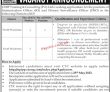 Peshawar Chip Training And Consultant Pvt Ltd Latest Govt Jobs