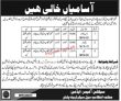 Peshawar Department Of Management Today Pakistan Jobs 2022 Advertisement