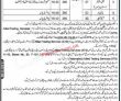 Peshawar Kpk Population Welfare Department Today Govt Pakistan Jobs 2022
