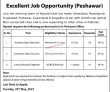 Peshawar Nayatel Private Limited New Jobs 2022 Advertisement Pk