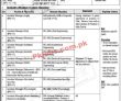 Peshawar Pakistan Army New Government Pakistan Jobs 2022 Advertisement