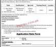 Philip Morris Pk Jobs 2021 | Internship Jobs | Philip