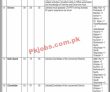 Planning Department Jobs 2022 | Planning & Development Department Monitoring