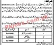 Police Jobs 2022 | Police Department Elite Training Center Head