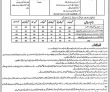 Police Pk Jobs 2021 | Border Military Police Department Announced