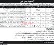 Polio Program Jobs 2022 | Polio Eradication Programme Headquarters Announced
