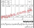 Population Welfare Department Announced Management Pk Jobs 2021